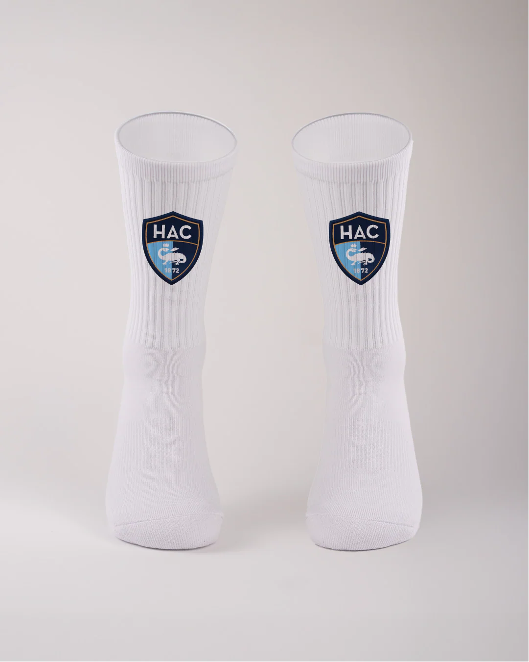 HAC Ensemble - Image 4