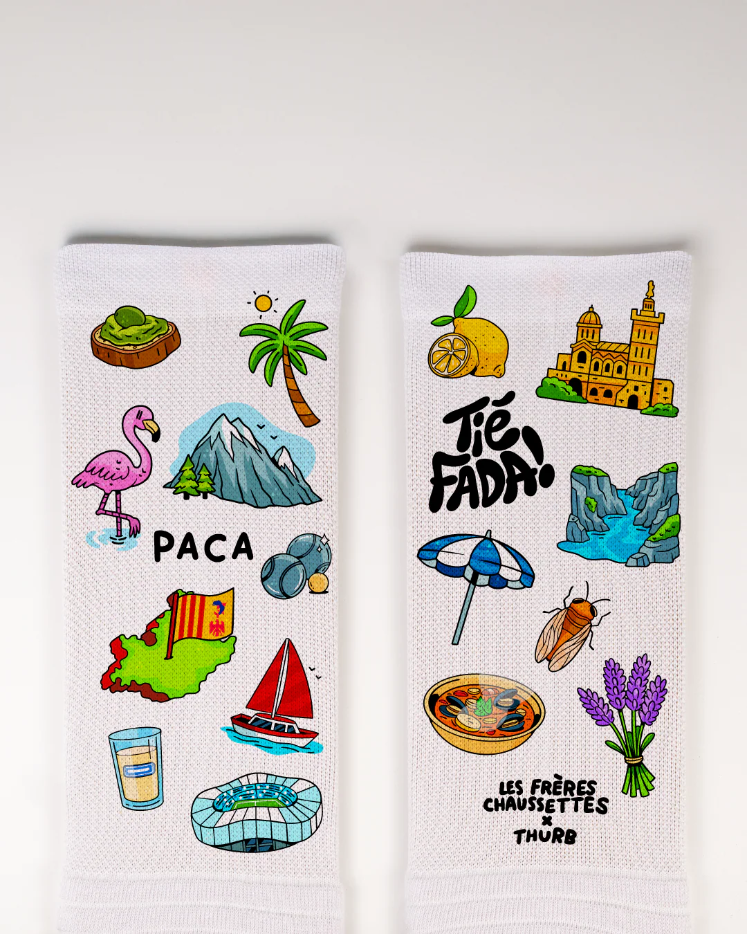 PACA - Image 2